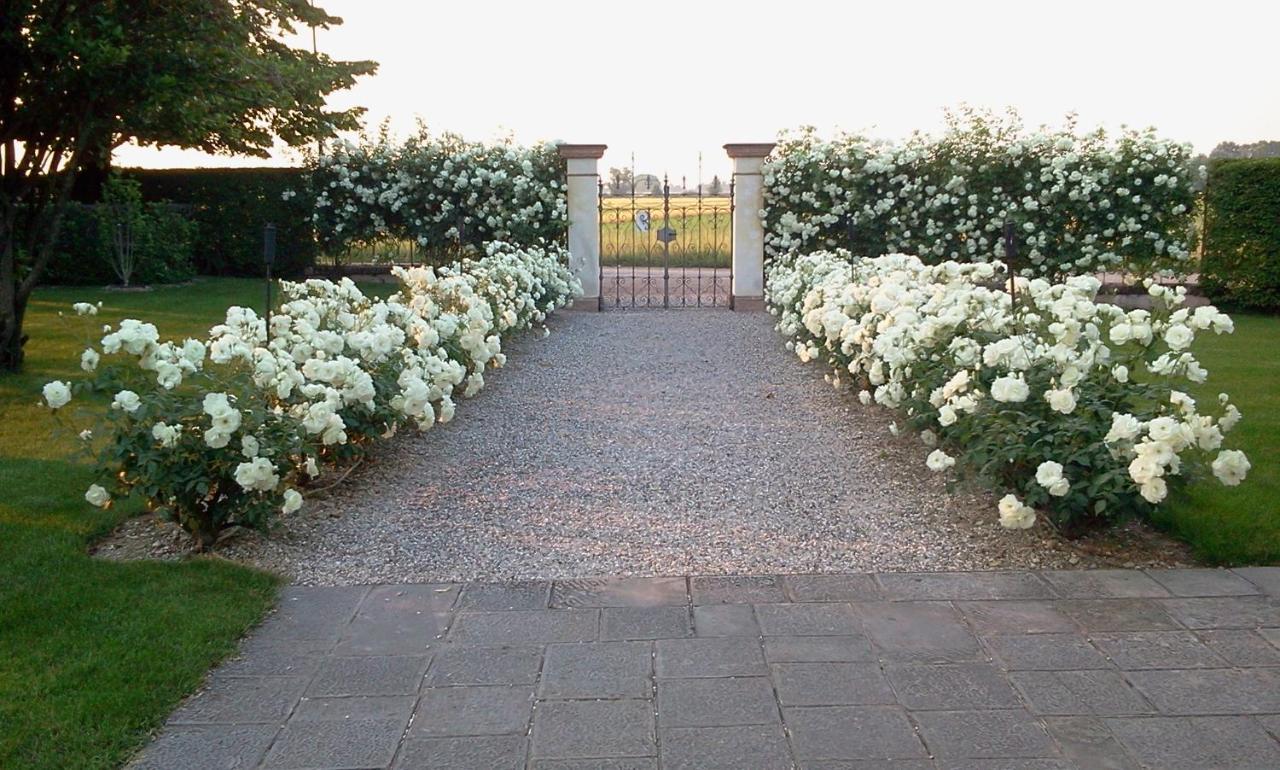 Borgo Dei Conti Della Torre Guest House Morsano al Tagliamento Екстериор снимка